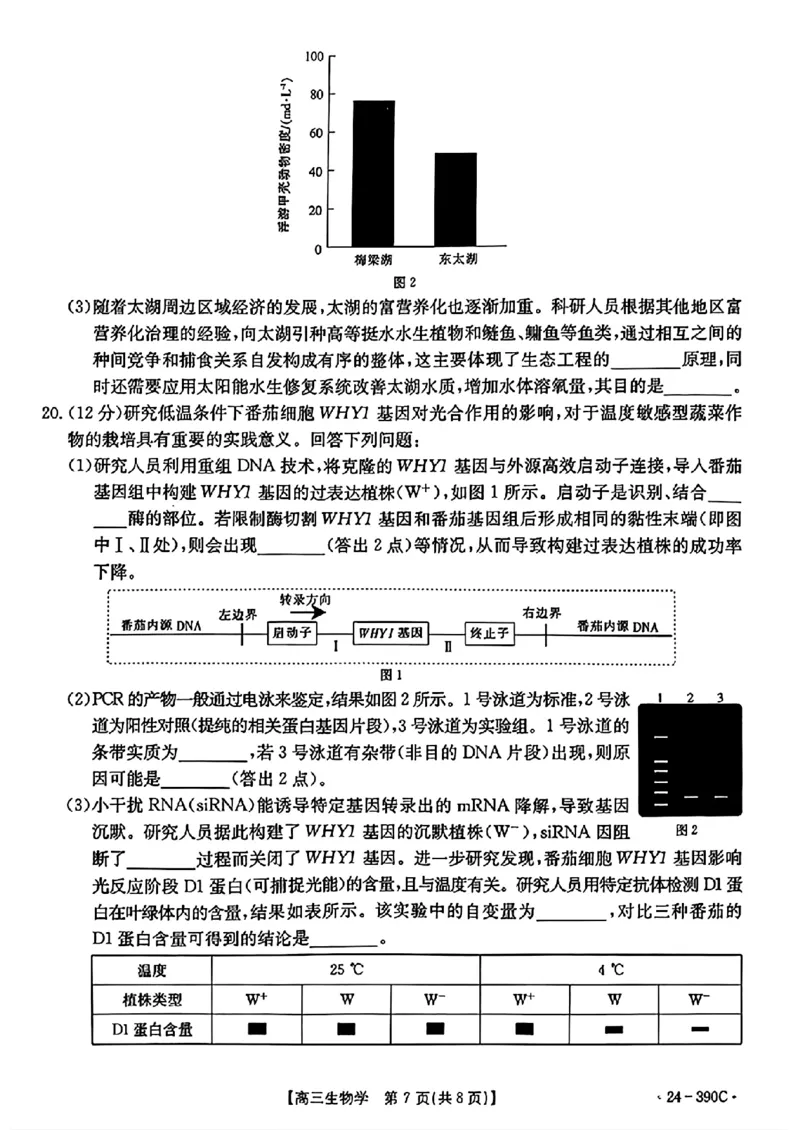 扫描件_2024年湛江市普通高考第二次模拟测试生物试卷_2024年4月_01按日期_14号_2024届广东省湛江市二模（金太阳390C）_2024届广东省湛江市高三下学期二模考试生物试题
