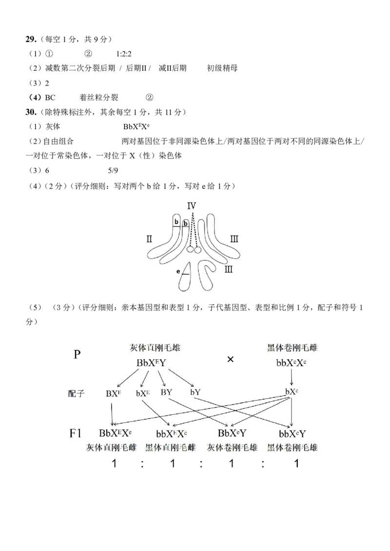 浙江省五湖联盟2024-2025学年高一下学期期中联考生物学试卷（PDF版，含答案）_2024-2025高一（7-7月题库）_2025年6月7.10新增_0609浙江省五湖联盟2024-2025学年高一下学期期中联考试题