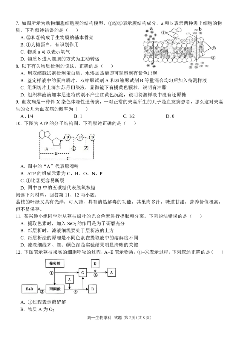浙江省五湖联盟2024-2025学年高一下学期期中联考生物学试卷（PDF版，含答案）_2024-2025高一（7-7月题库）_2025年6月7.10新增_0609浙江省五湖联盟2024-2025学年高一下学期期中联考试题