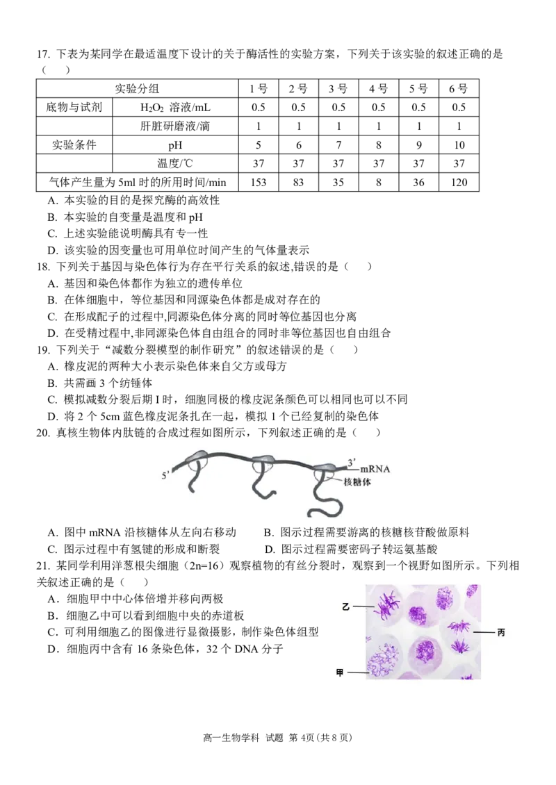 浙江省五湖联盟2024-2025学年高一下学期期中联考生物学试卷（PDF版，含答案）_2024-2025高一（7-7月题库）_2025年6月7.10新增_0609浙江省五湖联盟2024-2025学年高一下学期期中联考试题