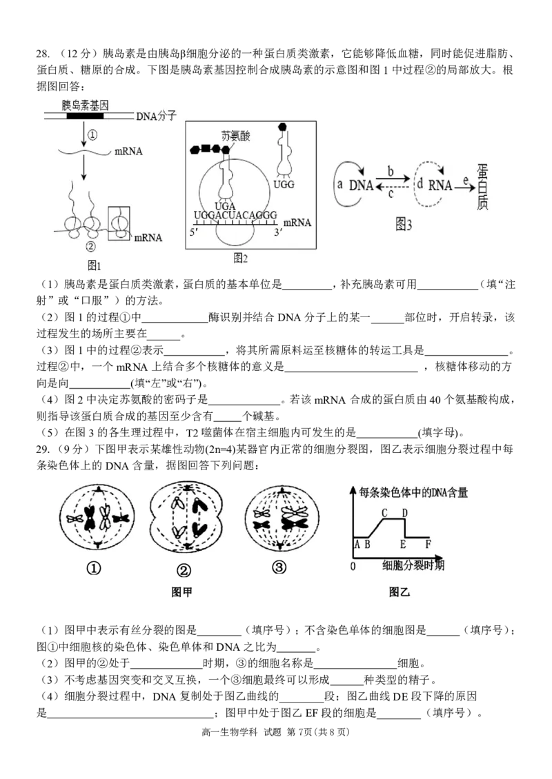 浙江省五湖联盟2024-2025学年高一下学期期中联考生物学试卷（PDF版，含答案）_2024-2025高一（7-7月题库）_2025年6月7.10新增_0609浙江省五湖联盟2024-2025学年高一下学期期中联考试题