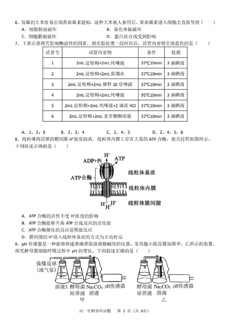 浙江省杭州市S9联盟2024-2025学年高一下学期4月期中生物试卷（扫描版有答案）_2024-2025高一（7-7月题库）_2025年05月试卷_0506浙江省杭州市S9联盟2024-2025学年高一下学期期中联考试题