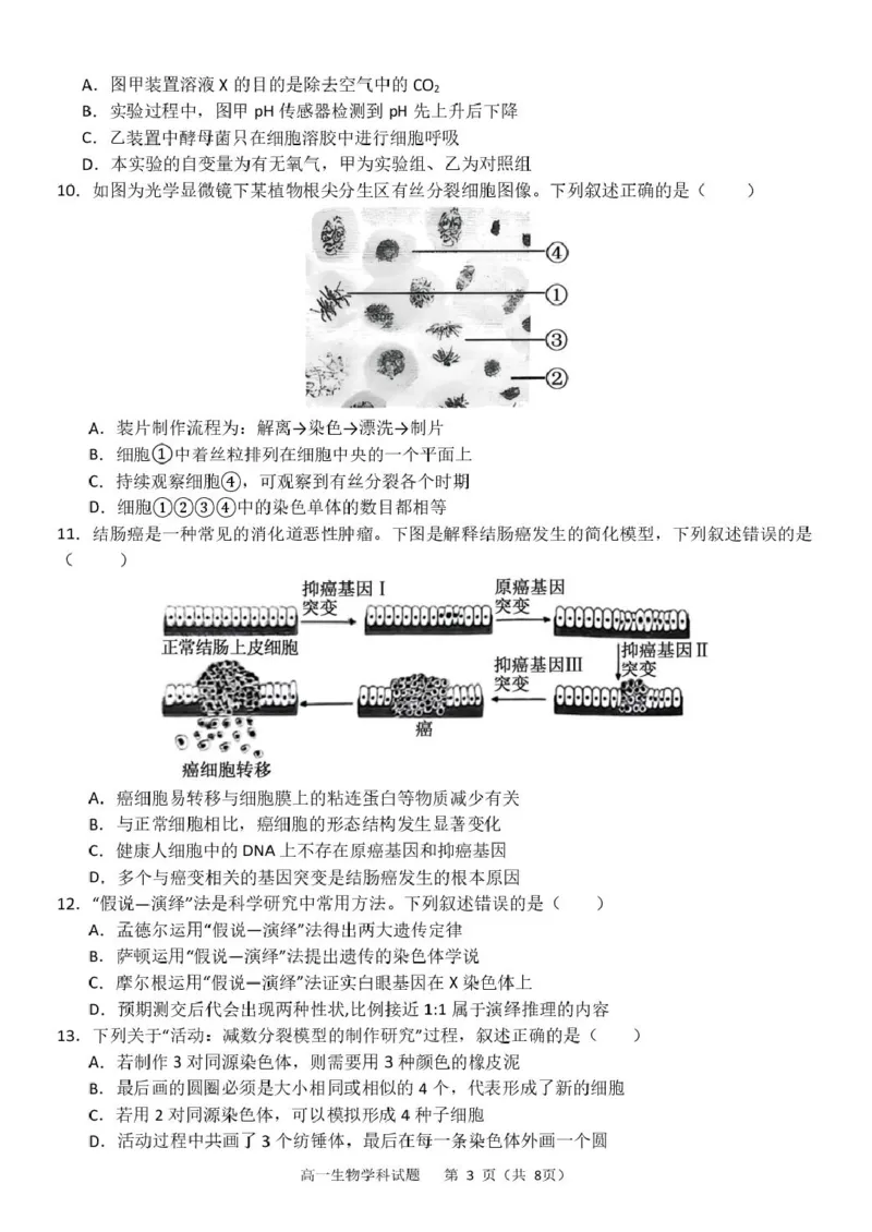 浙江省杭州市S9联盟2024-2025学年高一下学期4月期中生物试卷（扫描版有答案）_2024-2025高一（7-7月题库）_2025年05月试卷_0506浙江省杭州市S9联盟2024-2025学年高一下学期期中联考试题