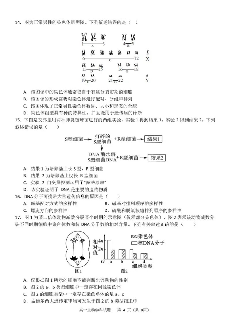 浙江省杭州市S9联盟2024-2025学年高一下学期4月期中生物试卷（扫描版有答案）_2024-2025高一（7-7月题库）_2025年05月试卷_0506浙江省杭州市S9联盟2024-2025学年高一下学期期中联考试题
