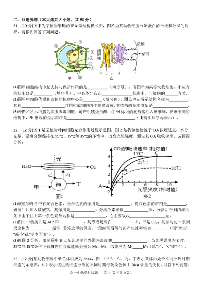 浙江省杭州市S9联盟2024-2025学年高一下学期4月期中生物试卷（扫描版有答案）_2024-2025高一（7-7月题库）_2025年05月试卷_0506浙江省杭州市S9联盟2024-2025学年高一下学期期中联考试题