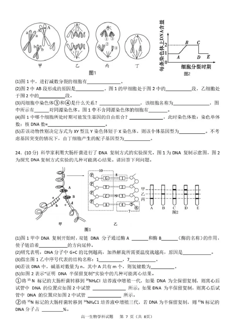 浙江省杭州市S9联盟2024-2025学年高一下学期4月期中生物试卷（扫描版有答案）_2024-2025高一（7-7月题库）_2025年05月试卷_0506浙江省杭州市S9联盟2024-2025学年高一下学期期中联考试题