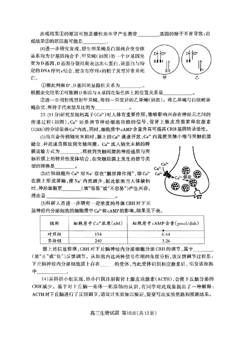 扫描件_24届泰安二模生物试题_2024年5月_01按日期_1号_2024届山东省泰安市高三4月二轮检测_2024届山东省泰安市高三4月二轮检测生物