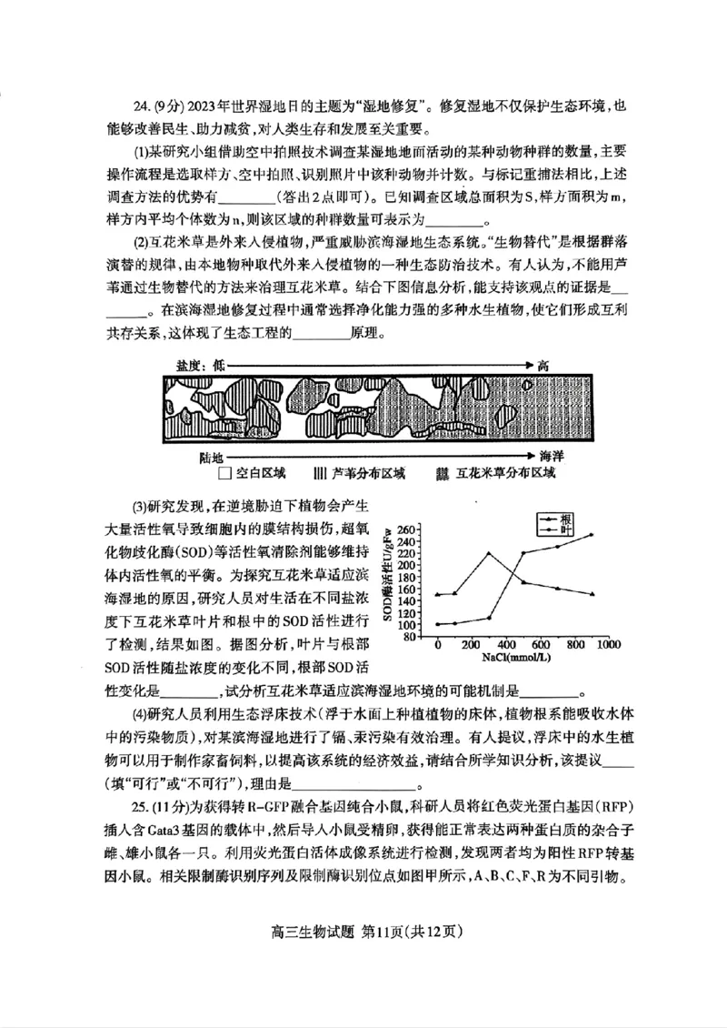 扫描件_24届泰安二模生物试题_2024年5月_01按日期_1号_2024届山东省泰安市高三4月二轮检测_2024届山东省泰安市高三4月二轮检测生物