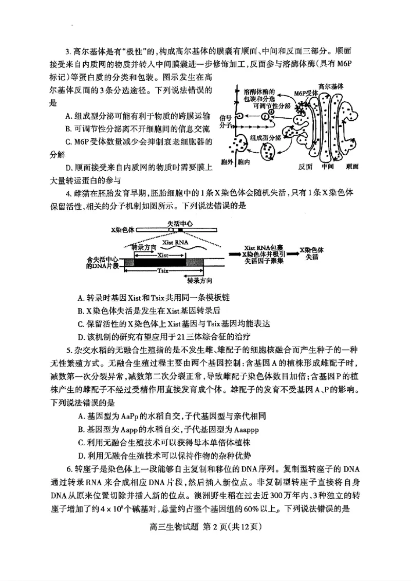 扫描件_24届泰安二模生物试题_2024年5月_01按日期_1号_2024届山东省泰安市高三4月二轮检测_2024届山东省泰安市高三4月二轮检测生物