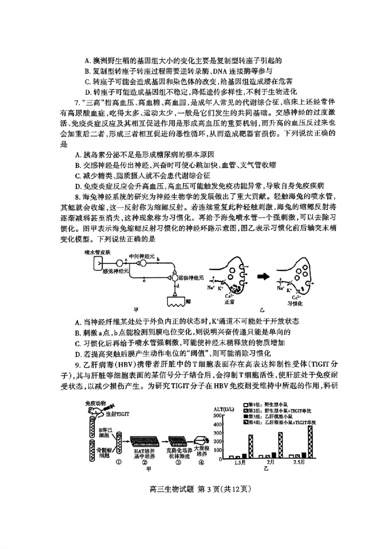 扫描件_24届泰安二模生物试题_2024年5月_01按日期_1号_2024届山东省泰安市高三4月二轮检测_2024届山东省泰安市高三4月二轮检测生物