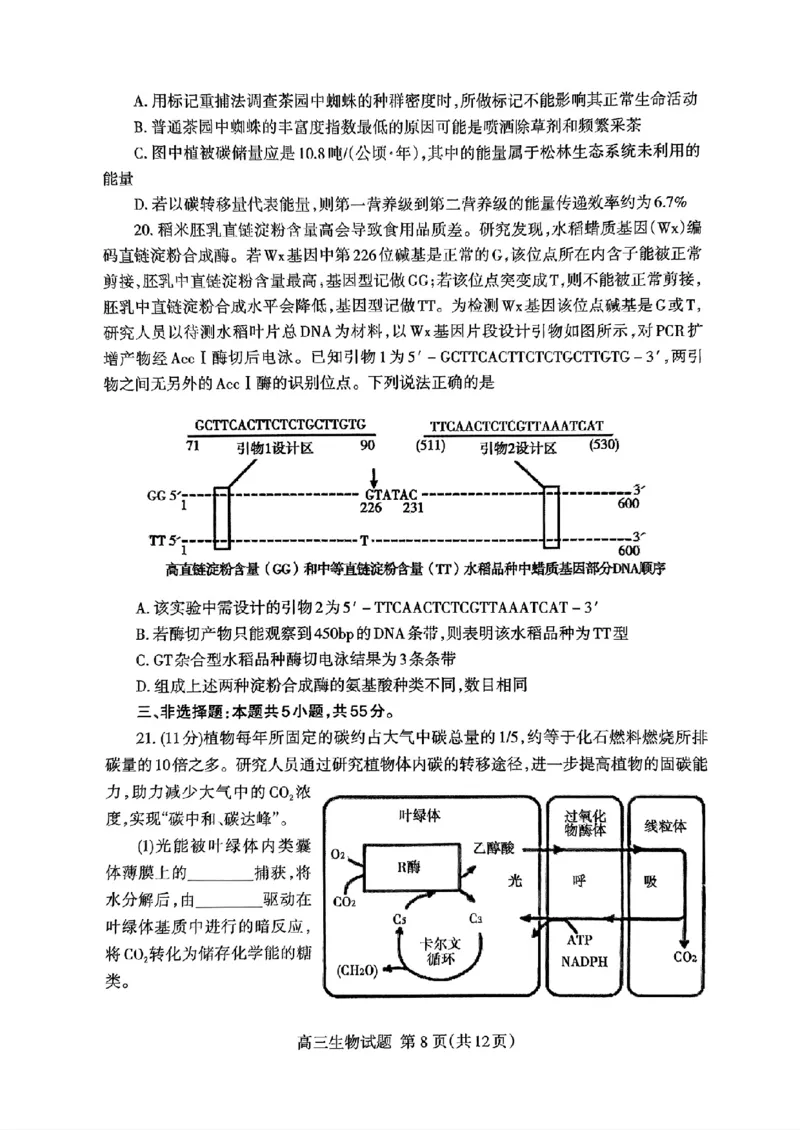 扫描件_24届泰安二模生物试题_2024年5月_01按日期_1号_2024届山东省泰安市高三4月二轮检测_2024届山东省泰安市高三4月二轮检测生物