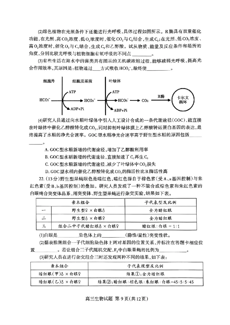 扫描件_24届泰安二模生物试题_2024年5月_01按日期_1号_2024届山东省泰安市高三4月二轮检测_2024届山东省泰安市高三4月二轮检测生物