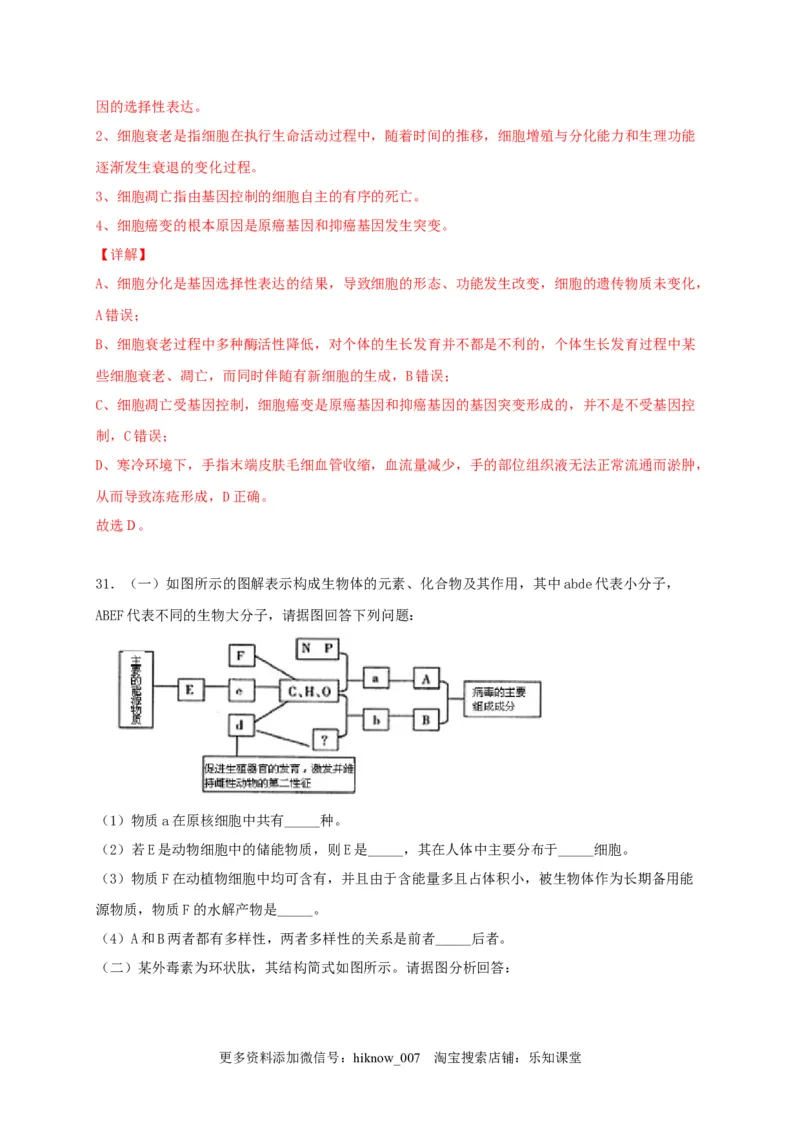 高一生物上学期期末测试卷01（人教版必修1）（解析版）_E015高中全科试卷_生物试题_必修1_4.期末试卷_1.模拟题_高一生物上学期期末测试卷01（人教版必修1）