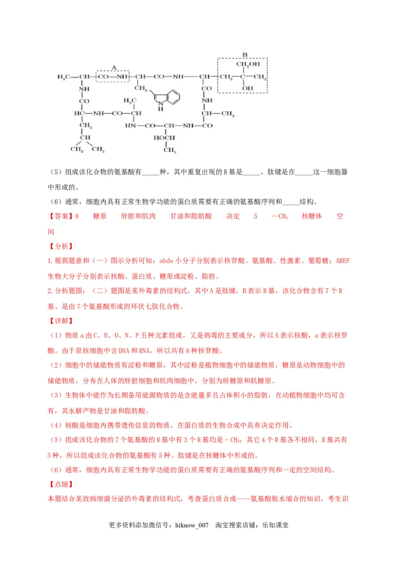 高一生物上学期期末测试卷01（人教版必修1）（解析版）_E015高中全科试卷_生物试题_必修1_4.期末试卷_1.模拟题_高一生物上学期期末测试卷01（人教版必修1）