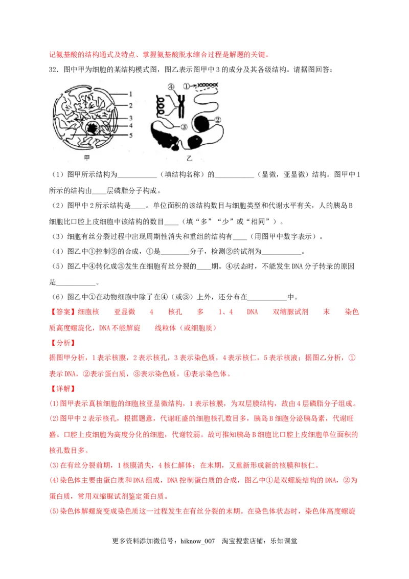 高一生物上学期期末测试卷01（人教版必修1）（解析版）_E015高中全科试卷_生物试题_必修1_4.期末试卷_1.模拟题_高一生物上学期期末测试卷01（人教版必修1）