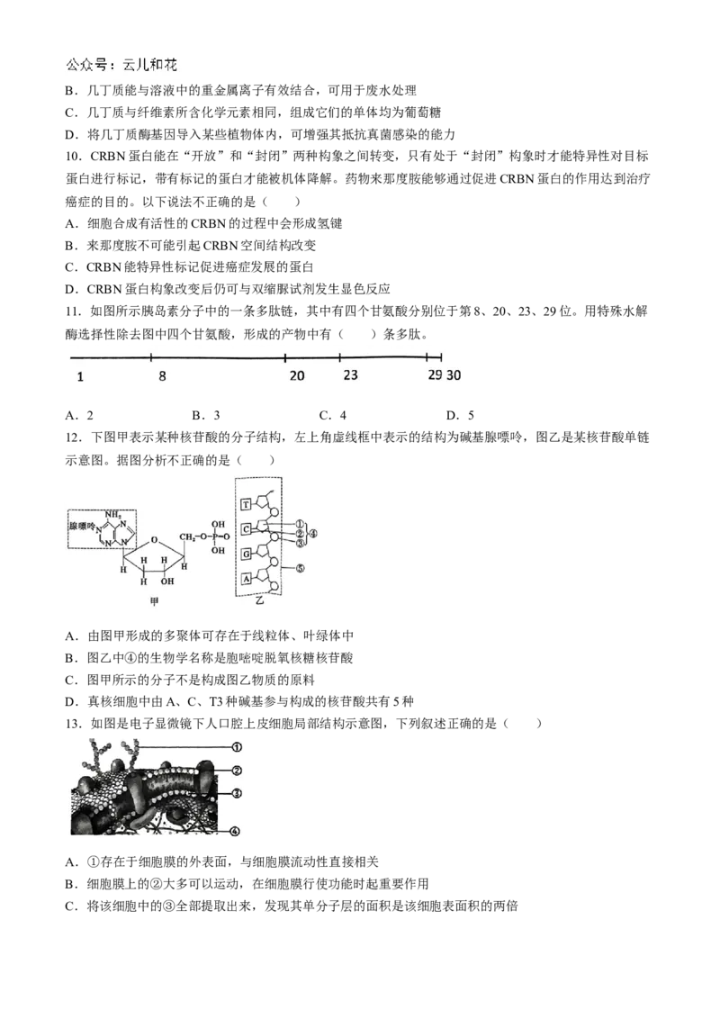 湖北省鄂东南省级示范高中教育教学改革联盟学校2024-2025学年高一上学期期中联考生物试题Word版含答案_2024-2025高一（7-7月题库）_2024年11月试卷