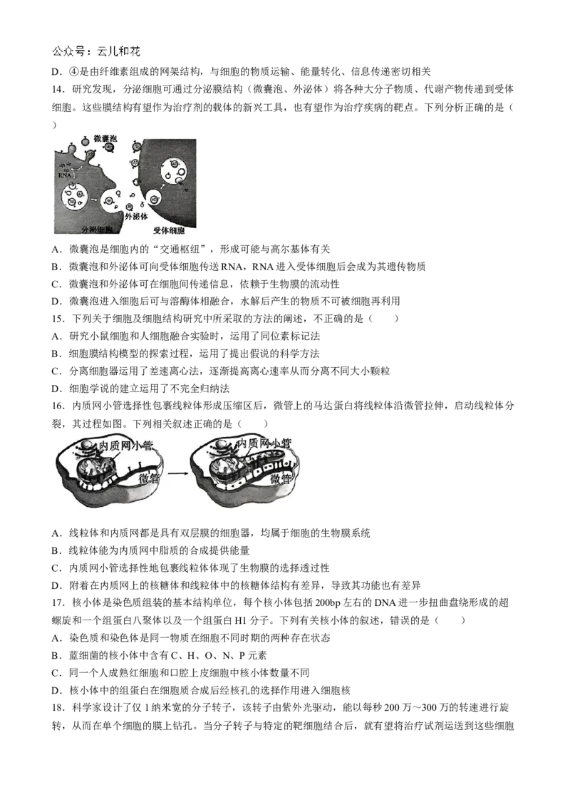 湖北省鄂东南省级示范高中教育教学改革联盟学校2024-2025学年高一上学期期中联考生物试题Word版含答案_2024-2025高一（7-7月题库）_2024年11月试卷