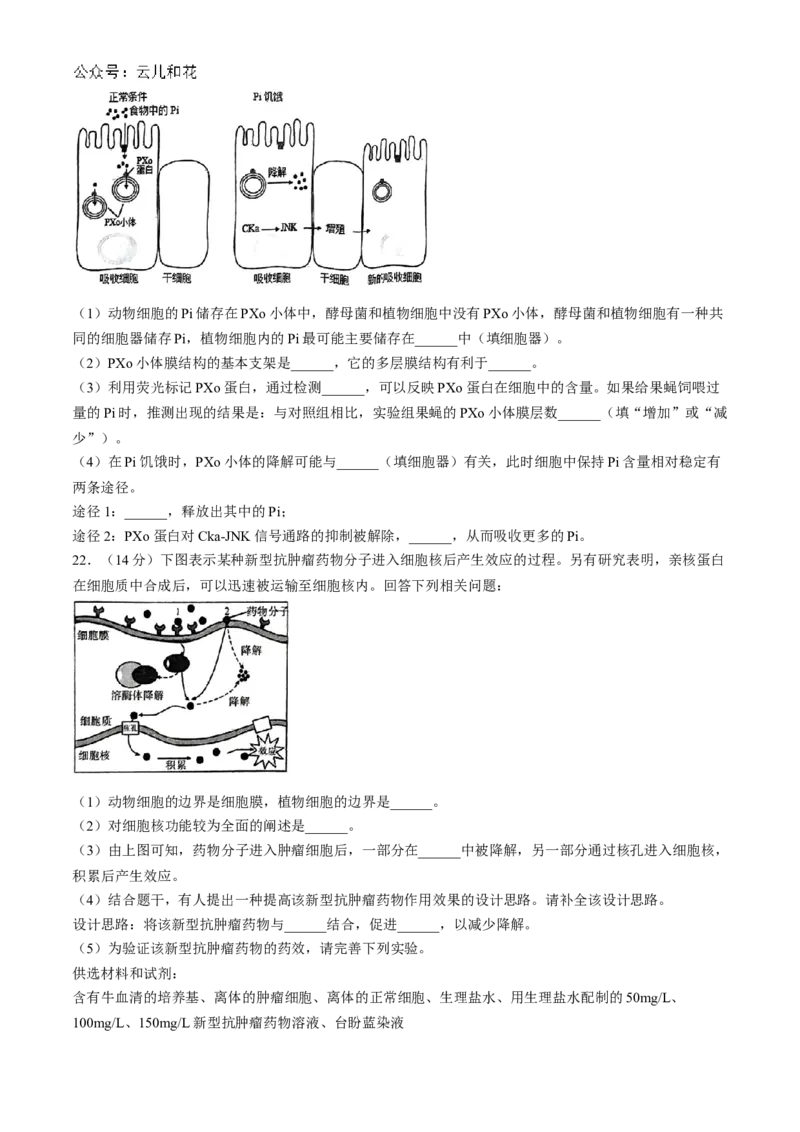 湖北省鄂东南省级示范高中教育教学改革联盟学校2024-2025学年高一上学期期中联考生物试题Word版含答案_2024-2025高一（7-7月题库）_2024年11月试卷