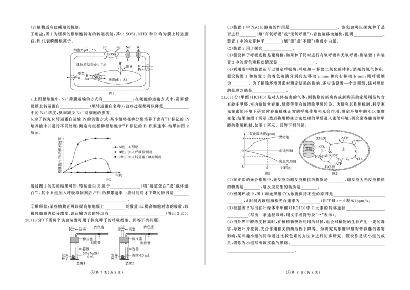 河南省百师联盟2028届高一上学期12月联考生物(A)_2024-2025高一（7-7月题库）_2026年1月高一_260105河南省百师联盟2028届高一上学期12月联考（全）