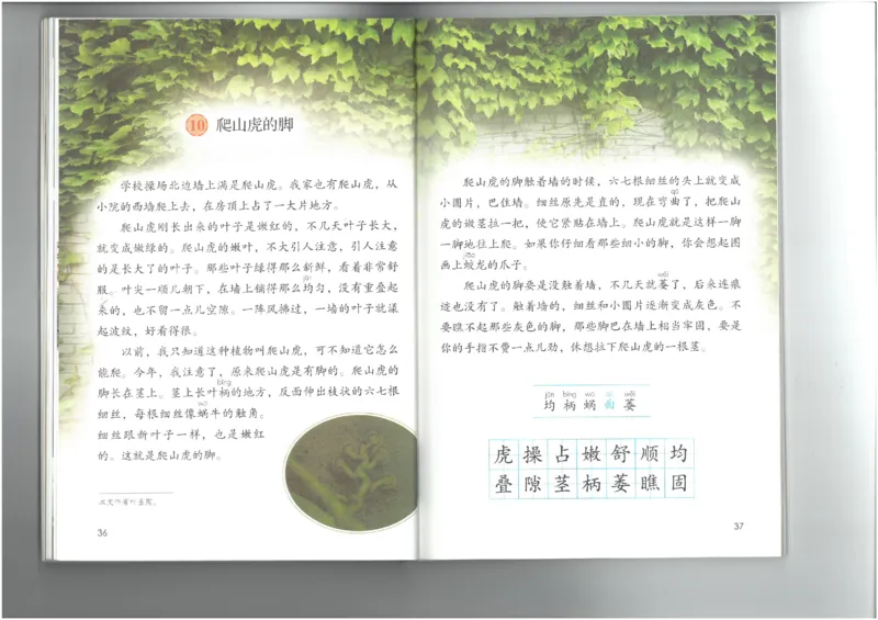 4年级上册语文电子课本统编版_小学1-6年级全部试卷_语文_四年级_3-9-1、小学四年级语文上册_3-9-1-3、电子教材、课本