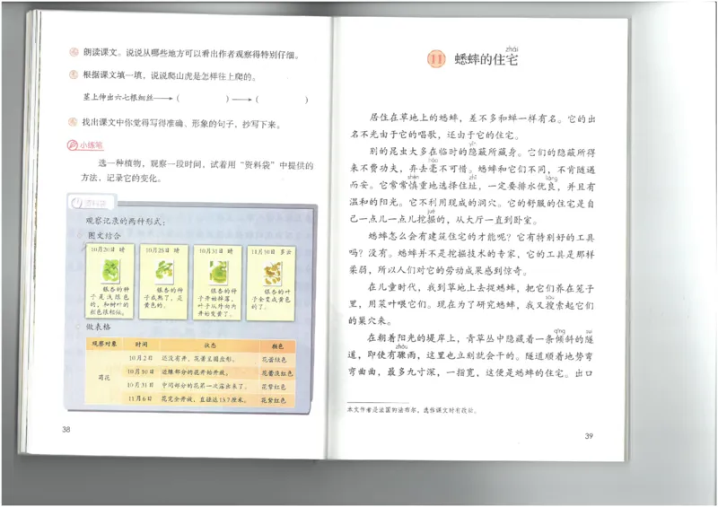 4年级上册语文电子课本统编版_小学1-6年级全部试卷_语文_四年级_3-9-1、小学四年级语文上册_3-9-1-3、电子教材、课本