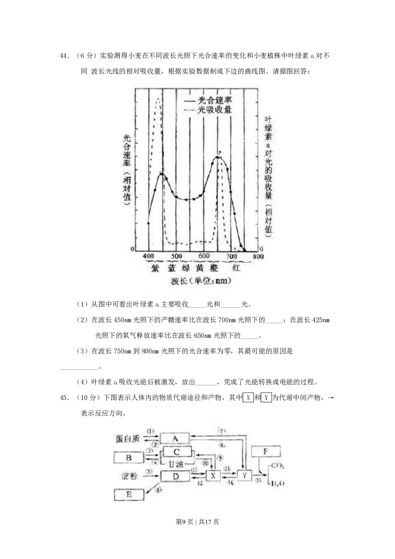 2000年上海高考生物真题及答案_生物高考真题试卷_旧1990-2007&middot;高考生物真题_1990-2007&middot;高考生物真题&middot;PDF_上海