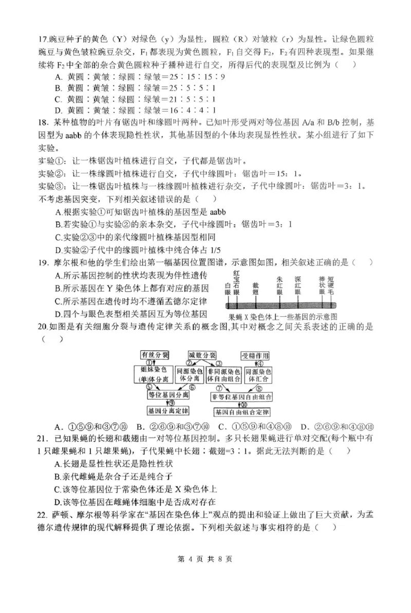 河南省南阳市第一中学校2024-2025学年高一下学期第二次月考生物试题（扫描版，含答案）_2024-2025高一（7-7月题库）_2025年04月试卷