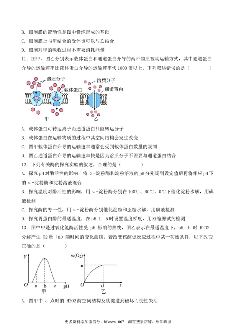 综合拉练卷04（原卷版）_E015高中全科试卷_生物试题_必修1_4.期末试卷_1.模拟题_综合拉练卷04-2022-2023学年上学期高一生物期末考试综合拉练卷（人教版2019必修1）