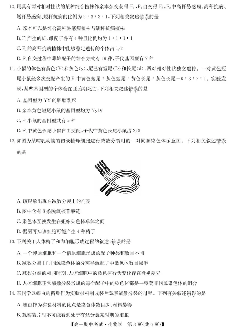 湖北省宜昌市协作体2024-2025学年高一下学期期中生物试卷（扫描版有答案）_2024-2025高一（7-7月题库）_2025年05月试卷_0508湖北省宜昌市协作体2024-2025学年高一下学期期中