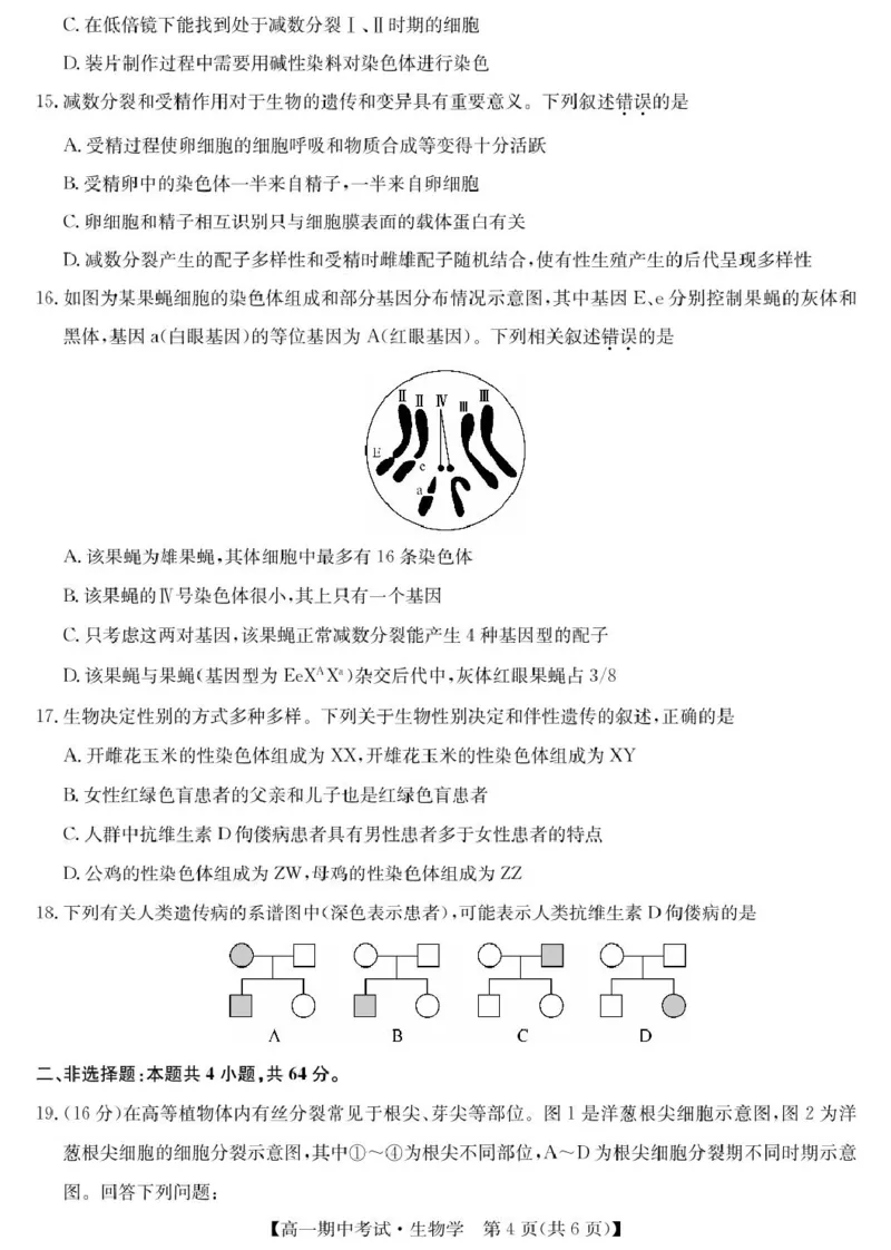 湖北省宜昌市协作体2024-2025学年高一下学期期中生物试卷（扫描版有答案）_2024-2025高一（7-7月题库）_2025年05月试卷_0508湖北省宜昌市协作体2024-2025学年高一下学期期中