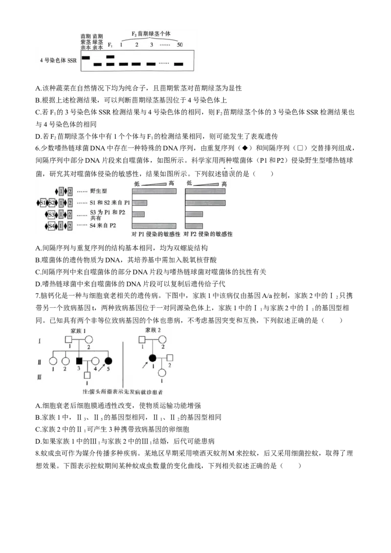 广东省华南师范大学附属中学2023-2024学年高三下学期4月高考适应性练习生物Word版含解析(1)_2024年5月_025月合集_2024届广东省华南师大附中高三下学期4月适应性练习