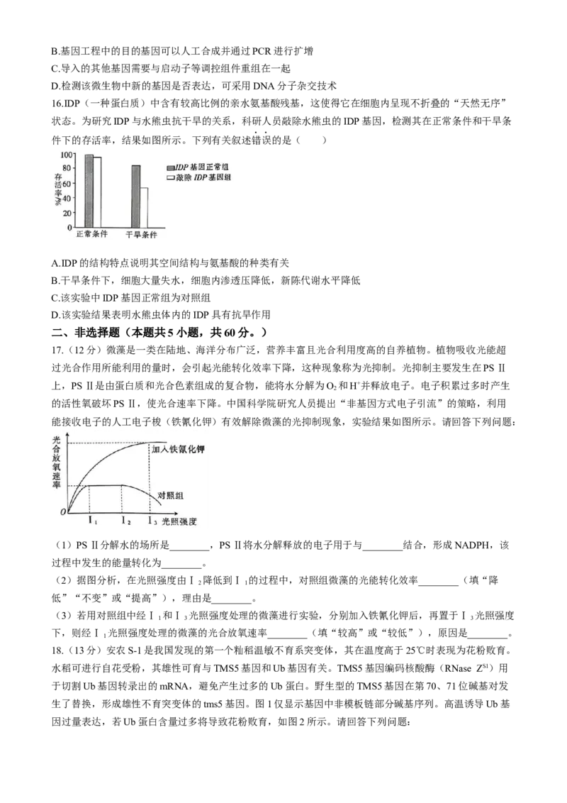广东省华南师范大学附属中学2023-2024学年高三下学期4月高考适应性练习生物Word版含解析(1)_2024年5月_025月合集_2024届广东省华南师大附中高三下学期4月适应性练习