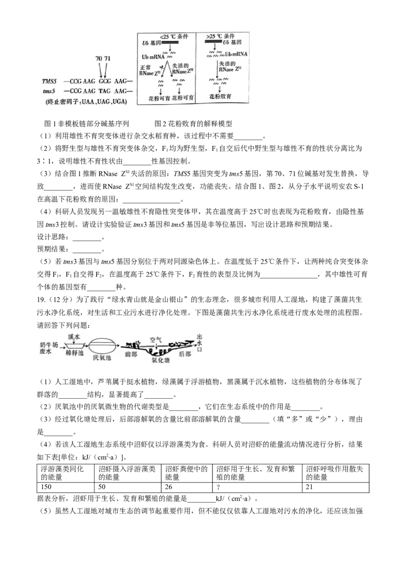 广东省华南师范大学附属中学2023-2024学年高三下学期4月高考适应性练习生物Word版含解析(1)_2024年5月_025月合集_2024届广东省华南师大附中高三下学期4月适应性练习