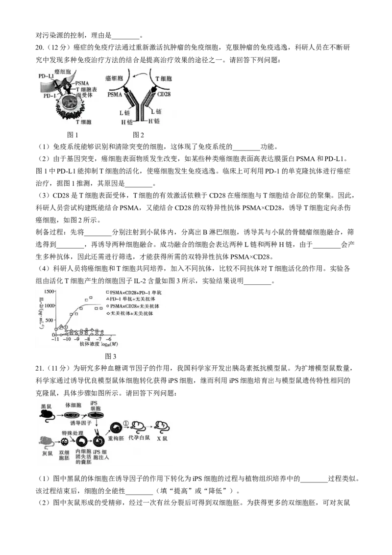 广东省华南师范大学附属中学2023-2024学年高三下学期4月高考适应性练习生物Word版含解析(1)_2024年5月_025月合集_2024届广东省华南师大附中高三下学期4月适应性练习