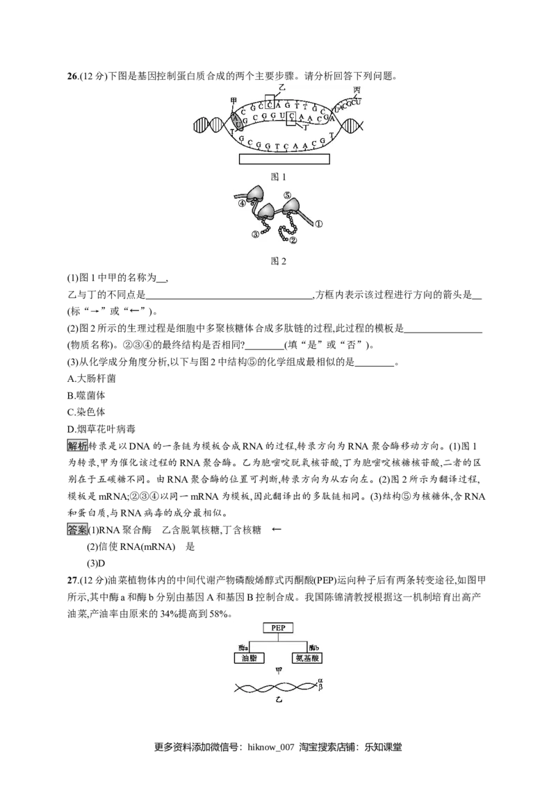 第4章《本章综合与测试》检测试卷_E015高中全科试卷_生物试题_必修2_1.单元测试_1、单元测试_第4章基因的表达