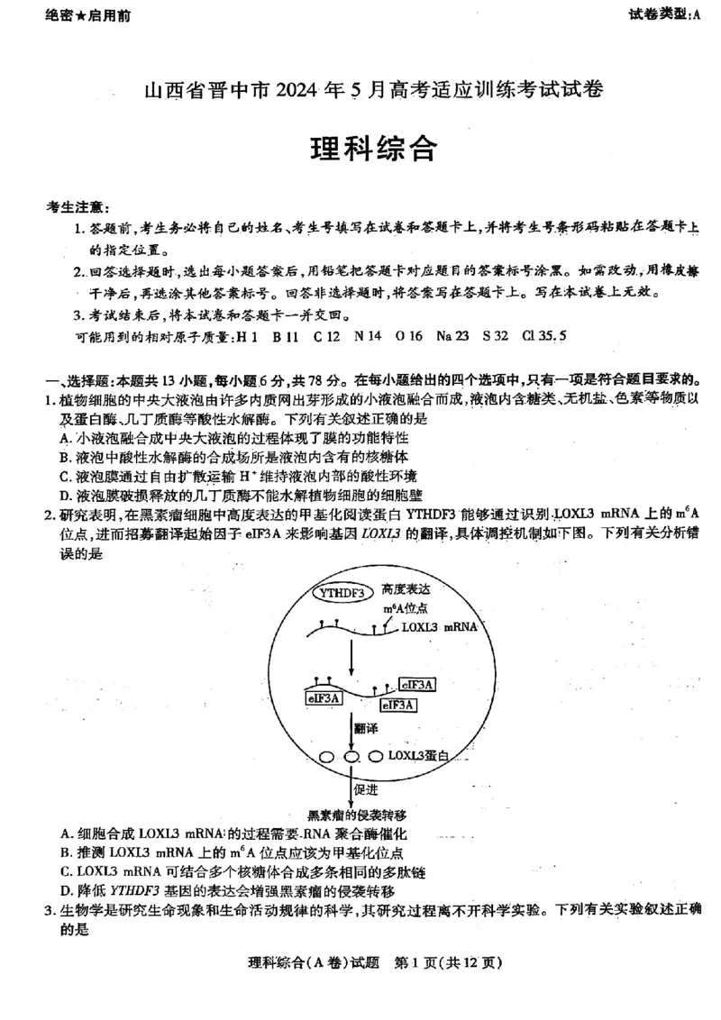 山西省晋中市2024届高三下学期5月高考适应训练考试理科综合试卷_2024年5月_01按日期_11号_2024届山西省晋中市高三下学期5月高考适应训练考试