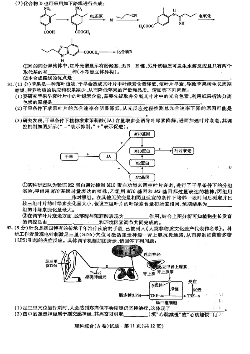 山西省晋中市2024届高三下学期5月高考适应训练考试理科综合试卷_2024年5月_01按日期_11号_2024届山西省晋中市高三下学期5月高考适应训练考试