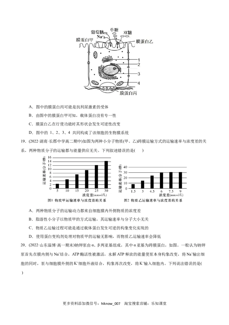 第4章细胞的物质输入和输出（B卷&middot;能力提升练）（原卷版）_E015高中全科试卷_生物试题_必修1_1.单元测试_1.单元测试AB卷（第一套）