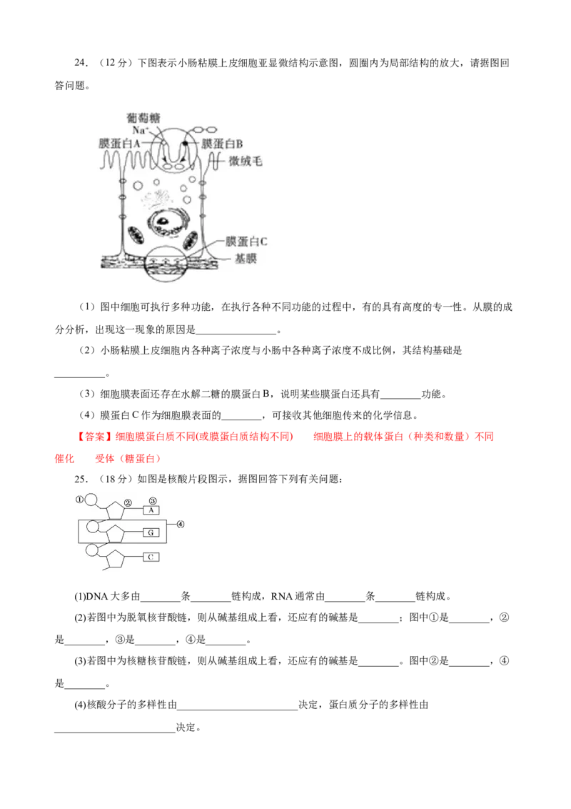 甘肃省兰州第一中学2024-2025学年高一上学期11月期中考试生物Word版含答案_2024-2025高一（7-7月题库）_2024年11月试卷_1121甘肃省兰州第一中学2024-2025学年高一上学期11月期中考试