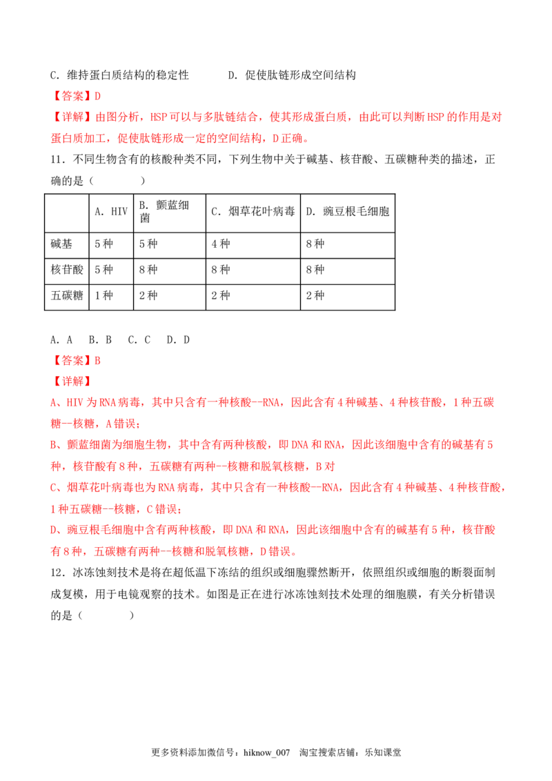 综合拉练卷02（解析版）_E015高中全科试卷_生物试题_必修1_4.期末试卷_1.模拟题_综合拉练卷02-2022-2023学年上学期高一生物期末考试综合拉练卷（人教版2019必修1）