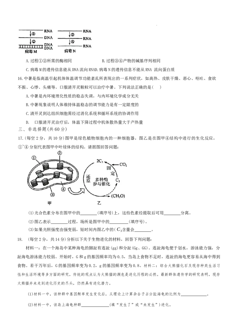 湖南省长沙市雅礼中学2024-2025学年高一下学期6月期末生物试题_2024-2025高一（7-7月题库）_2025年7月_250705湖南省长沙市雅礼中学2024-2025学年高一下学期6月期末