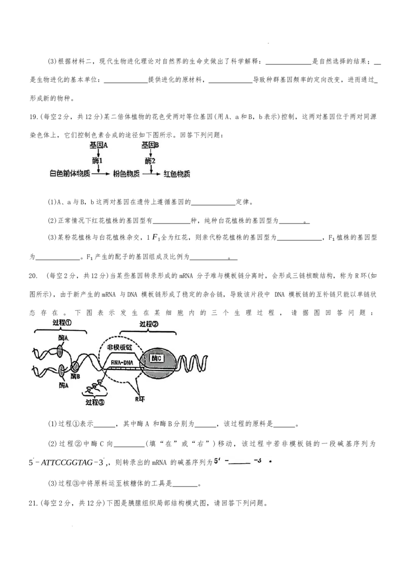 湖南省长沙市雅礼中学2024-2025学年高一下学期6月期末生物试题_2024-2025高一（7-7月题库）_2025年7月_250705湖南省长沙市雅礼中学2024-2025学年高一下学期6月期末