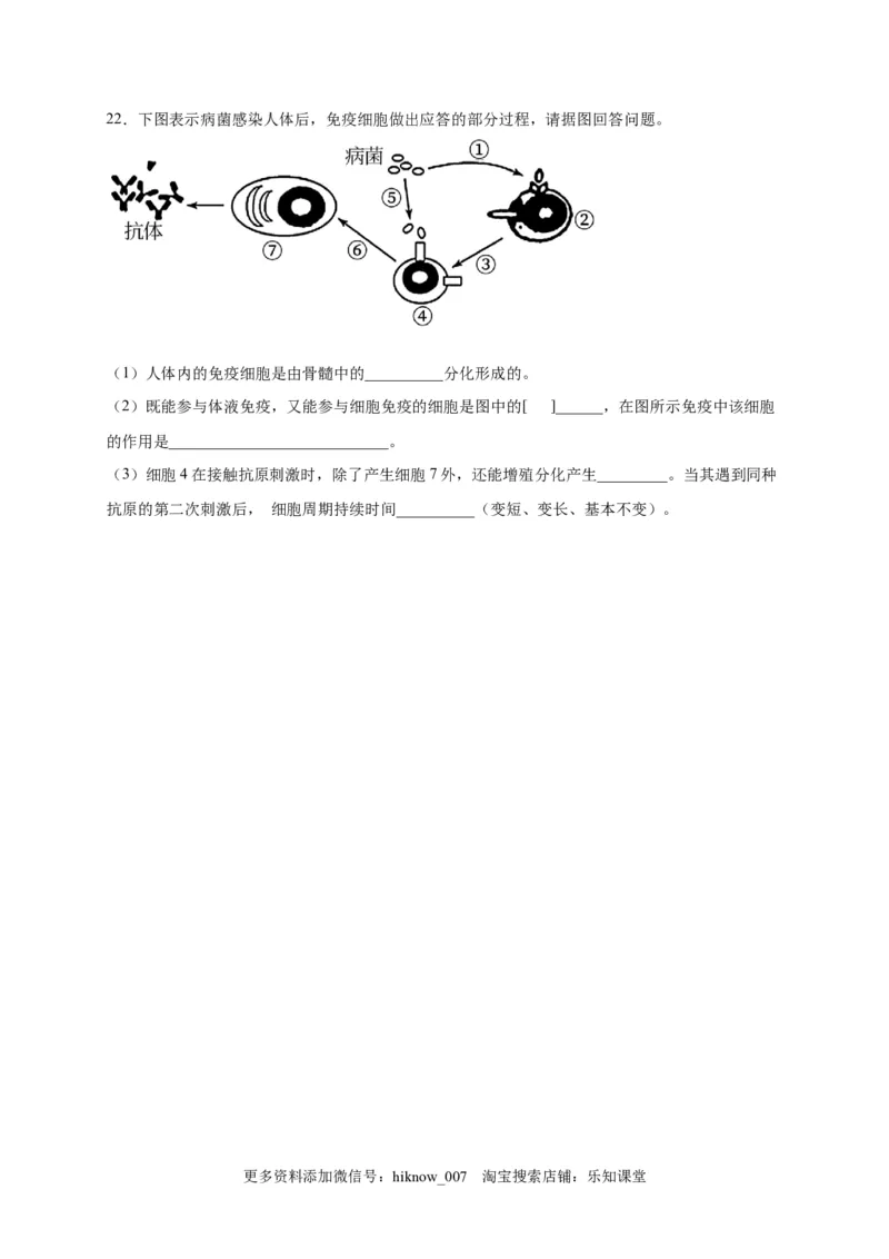 第4章免疫调节单元测试卷2022-2023学年人教版（2019）高中生物选择性必修1_E015高中全科试卷_生物试题_选修1_1.单元测试_2.单元测试（第二套）_第四章
