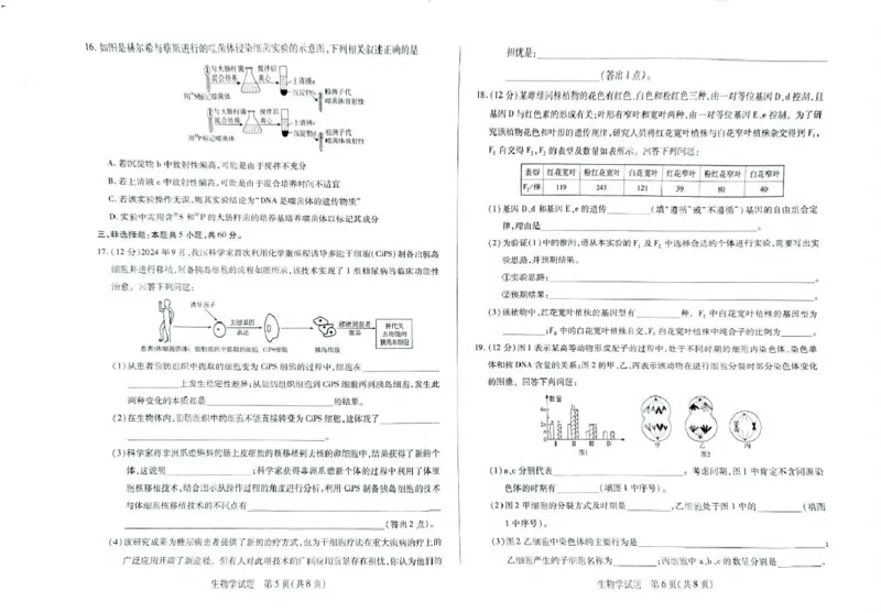 湖南省湘一名校联盟2024-2025学年高一下学期4月期中联考生物试题扫描版无答案_2024-2025高一（7-7月题库）_2025年05月试卷_0526湖南省湘一名校联盟2024-2025学年高一下学期4月期中联考