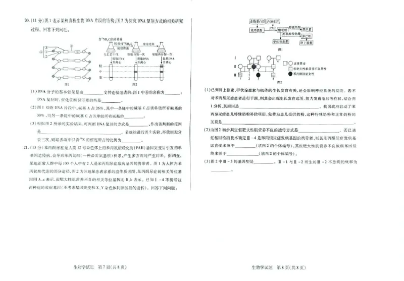 湖南省湘一名校联盟2024-2025学年高一下学期4月期中联考生物试题扫描版无答案_2024-2025高一（7-7月题库）_2025年05月试卷_0526湖南省湘一名校联盟2024-2025学年高一下学期4月期中联考