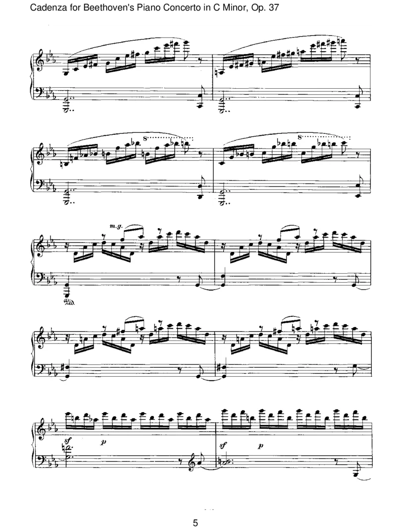 CadenzaforBeethoven'sPianoConcertoinCMinor,Op.37_一万首著名钢琴曲谱哈农贝多芬合集视频教学电子版高清无水印可打印_1古典钢琴知名音乐家谱_勃拉姆斯钢琴谱全集