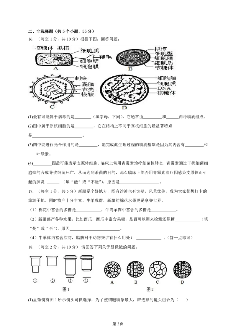 高一生物月考试题_2024-2025高一（7-7月题库）_2024年10月试卷_1026四川省南充市嘉陵第一中学2024-2025学年高一上学期10月月考