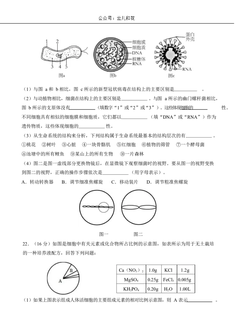 荆州中学2024-2025学年高一上学期9月月考生物_2024-2025高一（7-7月题库）_2024年10月试卷_1006湖北省荆州中学2024-2025学年高一上学期9月月考