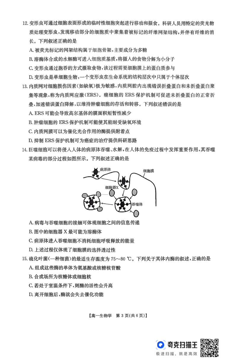 生物26-11-149A试卷_2024-2025高一（7-7月题库）_2026年1月高一_260112金太阳&middot;广东省2028届高一上学期12月联考（26-149A）（全）