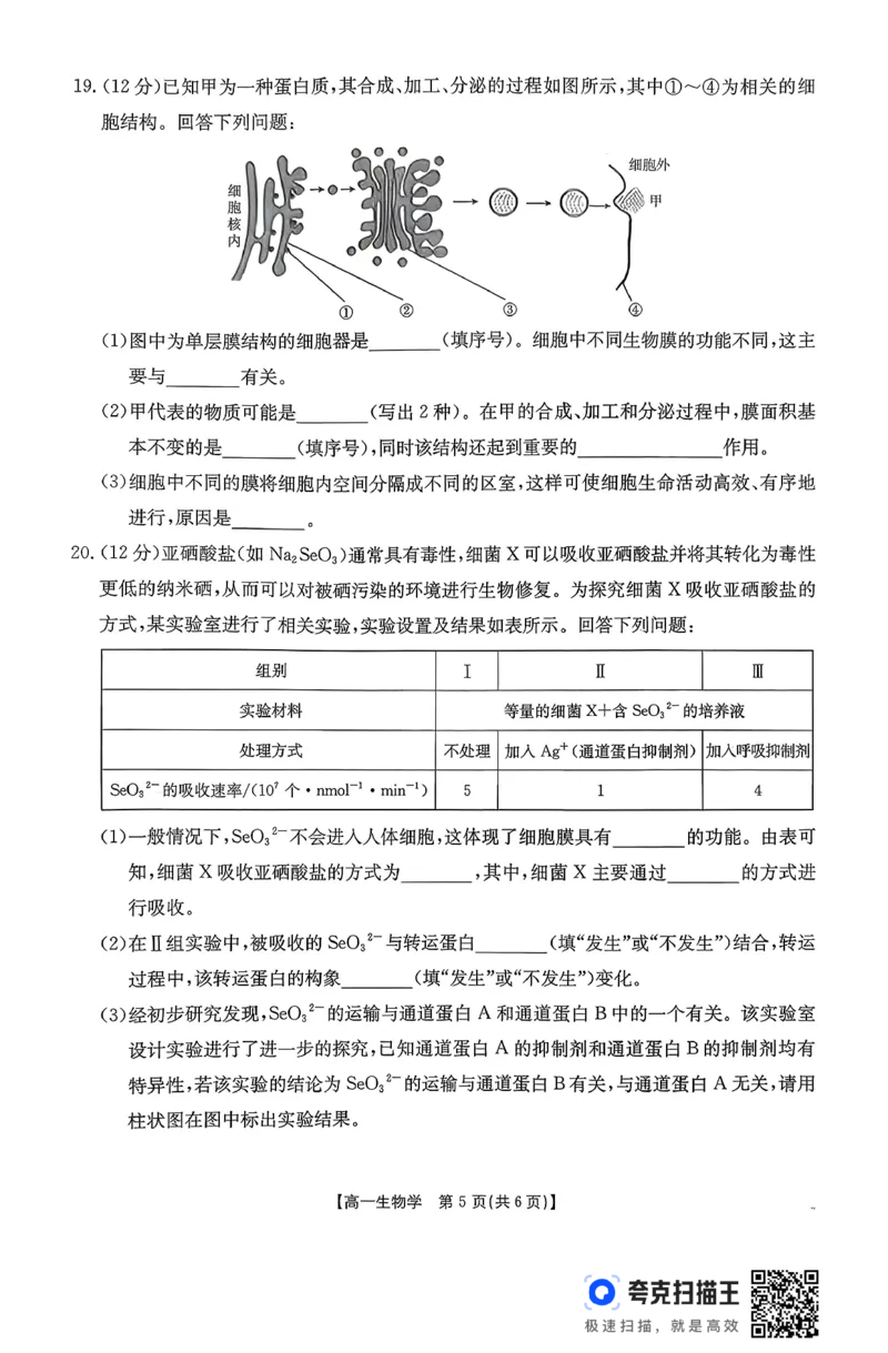 生物26-11-149A试卷_2024-2025高一（7-7月题库）_2026年1月高一_260112金太阳&middot;广东省2028届高一上学期12月联考（26-149A）（全）